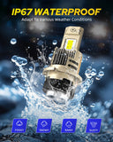 Autoone Headlight Bulb 24000LM D2S D2R Headlight Bulbs 6500K White High and Low Beam, Fog Light Bulbs